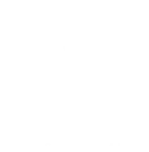 Berliner : 
